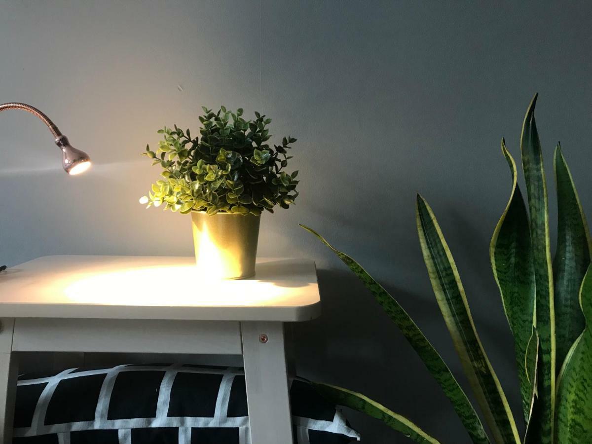 Apartament Centrum Zielona Góra Exteriör bild